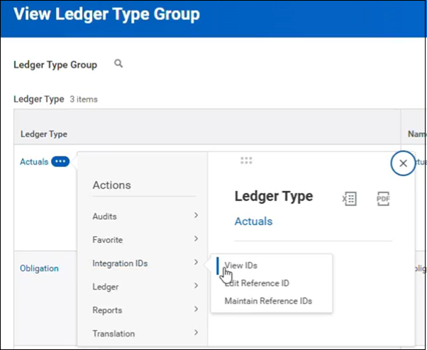Workday_ViewLedgerTypeGroup.png
